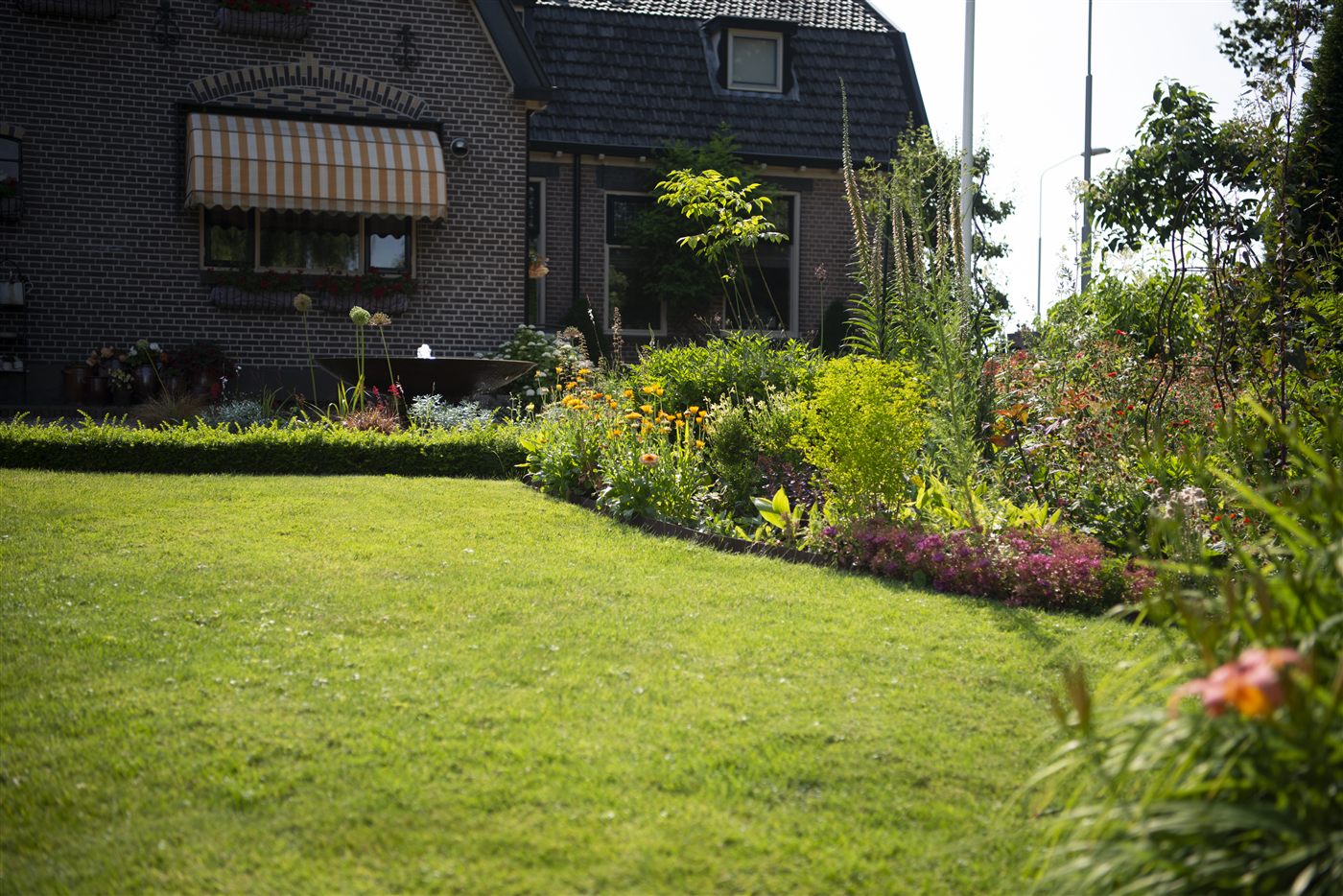 Tuin van Greendex met gazon en borders