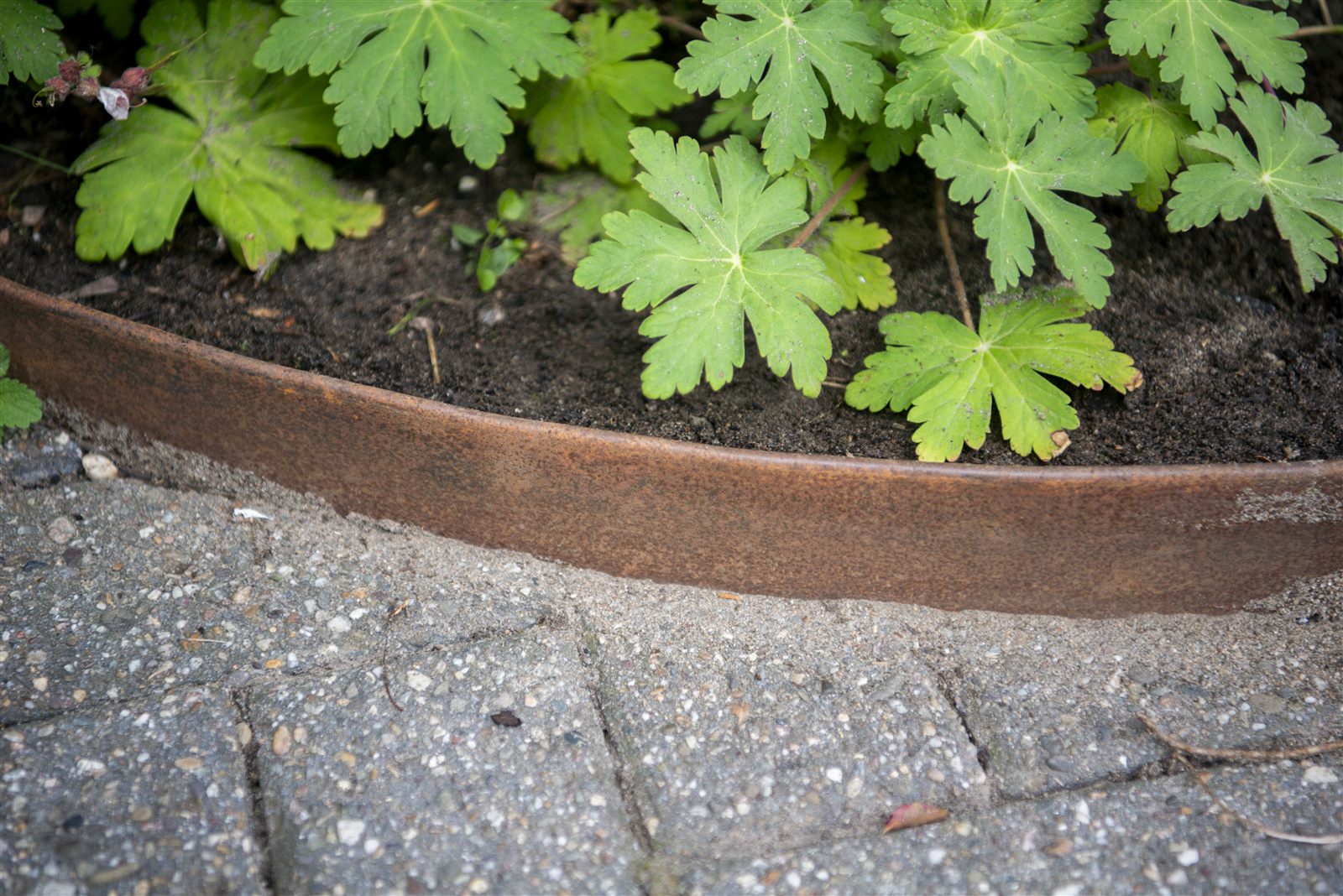Cortenstalen rand tussen bestrating en beplanting