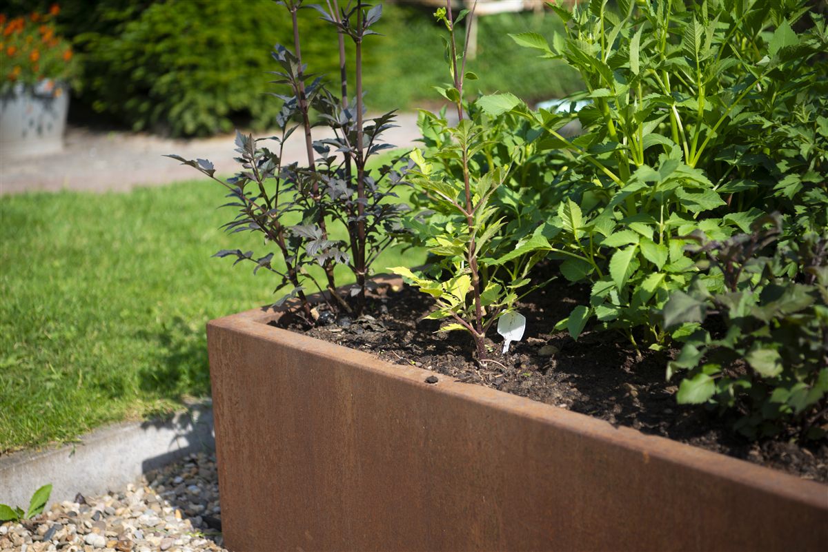 Een cortenstalen plantenbak met beplanting